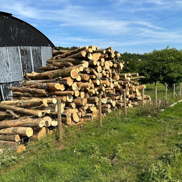 Stacked firewood logs in Cumbria ready to be kiln dried