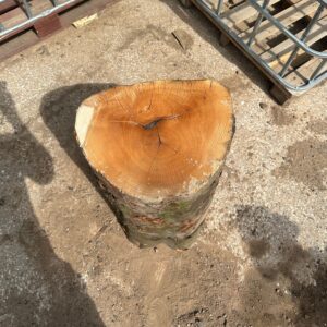 Chopping Block